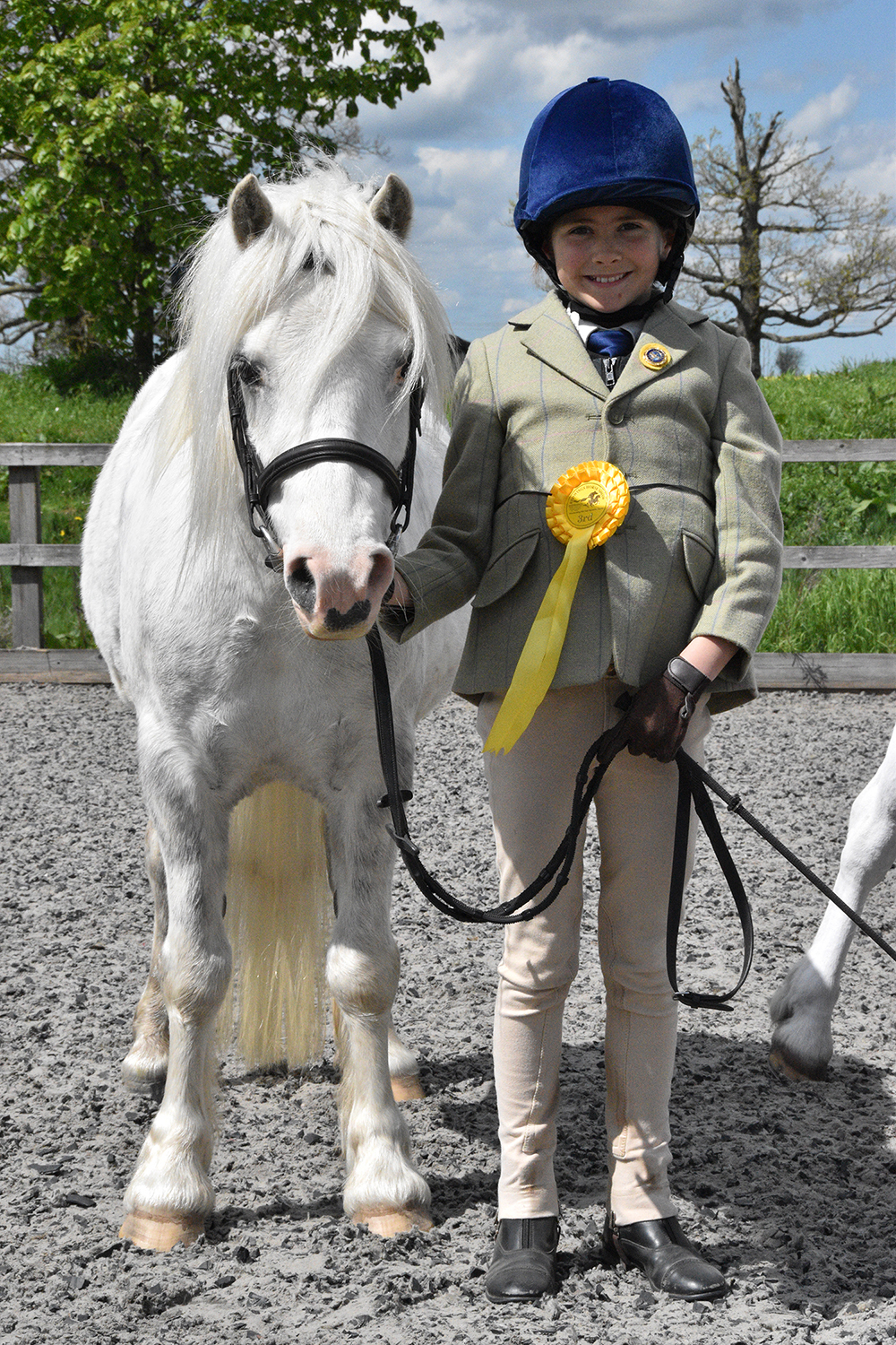Redwings Show 2019 4