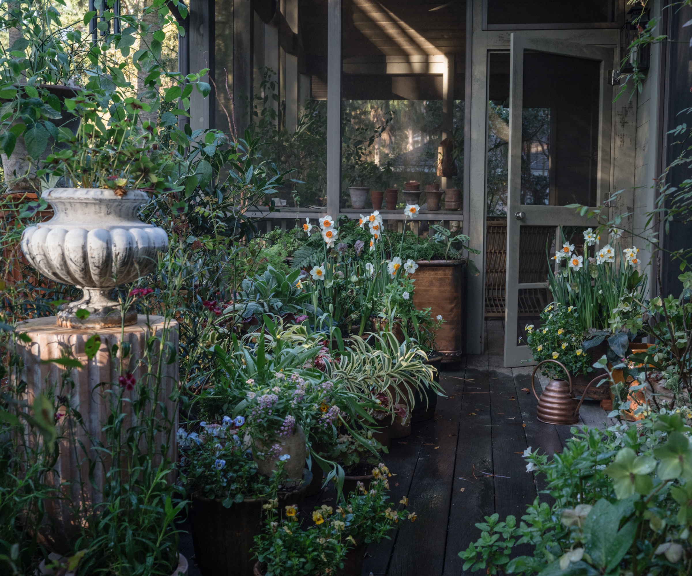 Lucy Hunter's Charleston deck