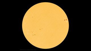 black spots dot the face of the sun, seen in yellow