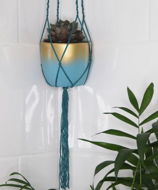A two-tone blue and gold macrame DIY plant stand