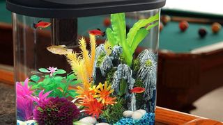 Goldfish Tank Tabletop Transparent Elliptical Hydroponic Landscape Small  Fish Tank