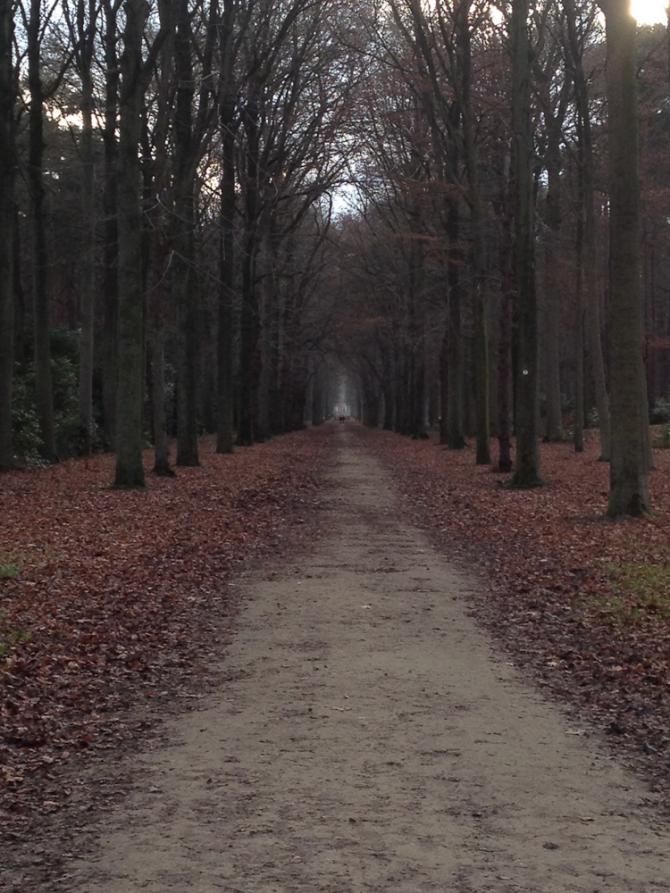Christmas in Belgium isn't always white.