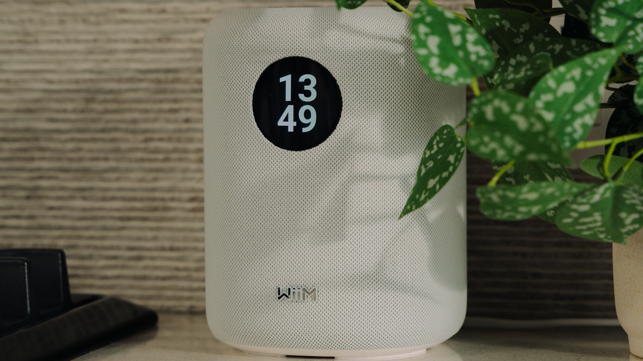 WiiM Sound speaker in white next to a medium sized potted plant