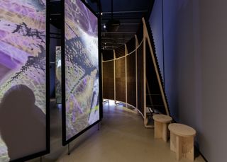 Projections at Barbican's Our Time On Earth exhibition
