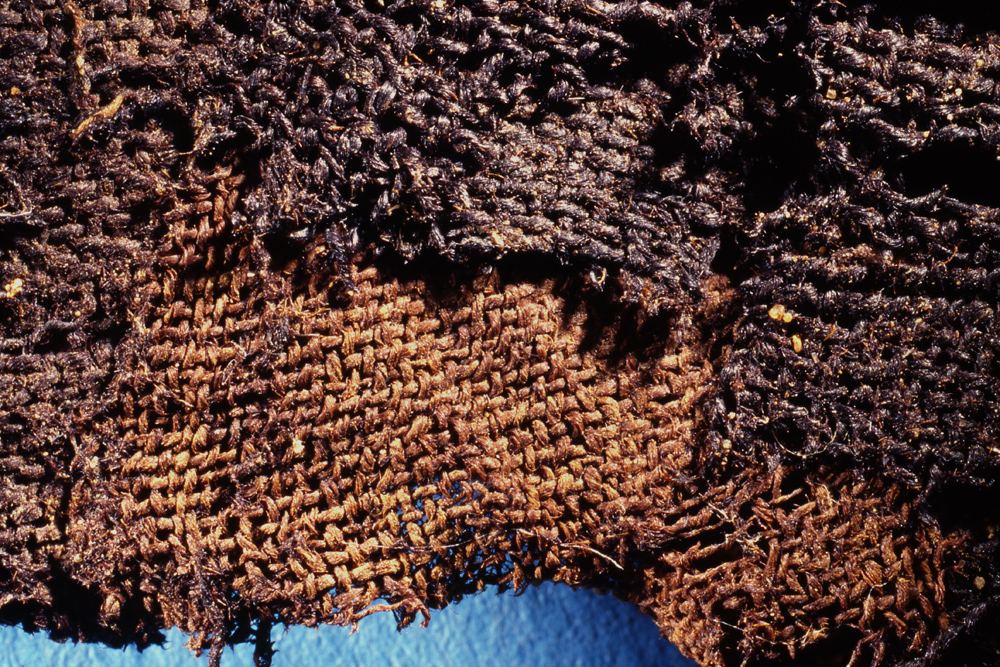 egypt, mummies, world's oldest known mummies