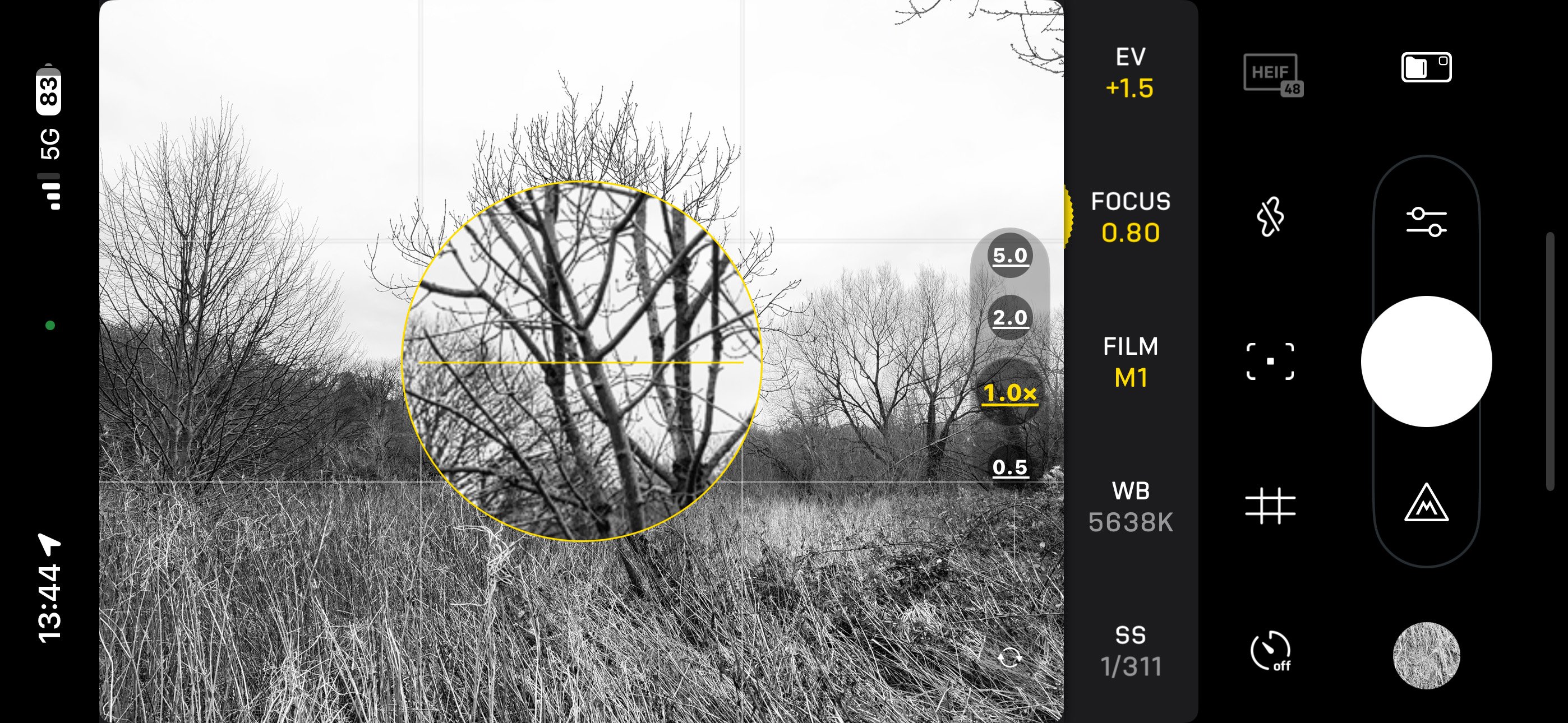 The Fjorden camera app interface, with monochrome photo of a tree being composed