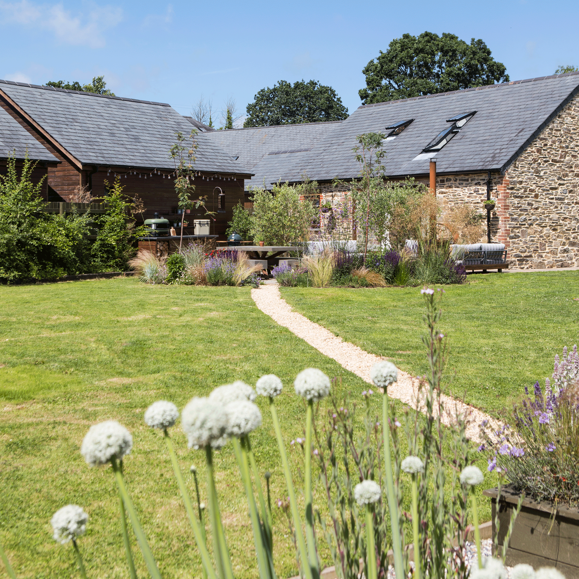 a garden with a lawn with a pebbled pathway through the middle leading to a dining area and outdoor kitchen with alliums in the foreground