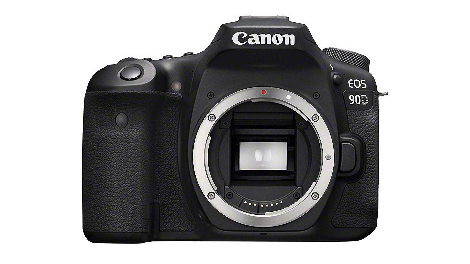 best wildlife cameras Canon EOS 90D