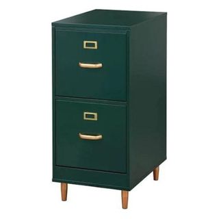 Dixie 2 Drawer Cabinet Green - Buylateral