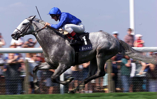 24 Jul 1999: Frankie Dettori brings the grey Daylami home to win the King George VI and The Queen Elizabeth Diamond Stakes run at Ascot. Mandatory Credit: Julian Herbert/ALLSPORT