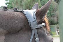Kinda-headpiece.JPG