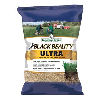 Black Beauty Ultra Grass Seed
