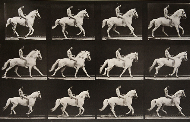 Animal Locomotion Plate 617 (Nude Man Riding Horse)