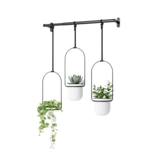 White three-pot air planter with black metal rail