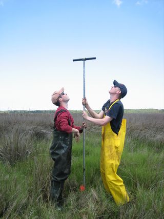 Andrew Kemp (in red) and colleague Simon Engelhart (in yellow) collect sediment cores.