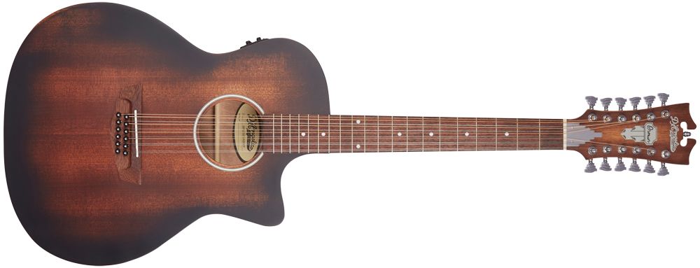 D'Angelico Premier Series LS acoustic