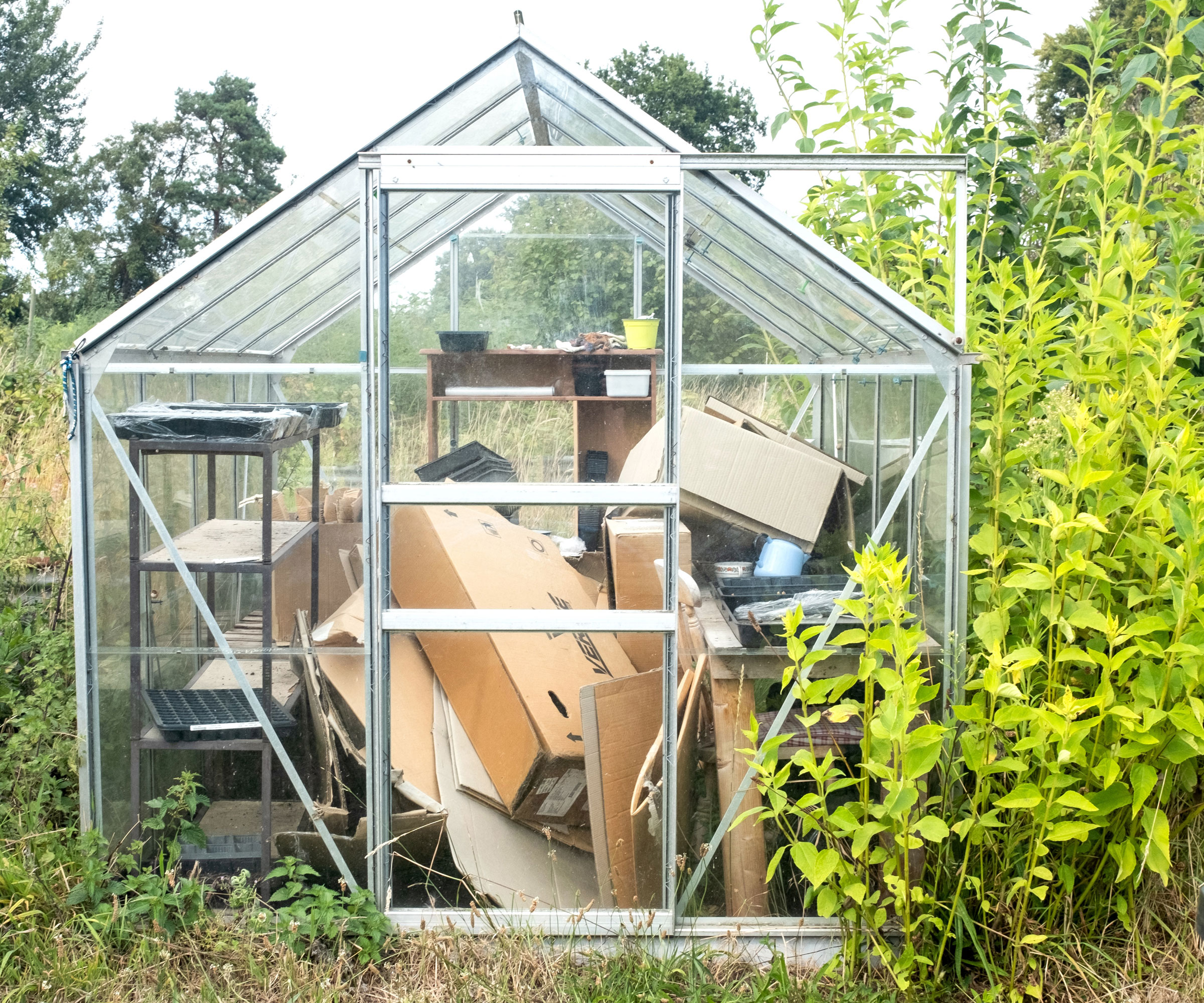 cardboard stuffed into greenhouse in backyard