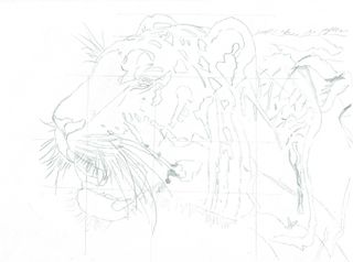 sketch of tiger