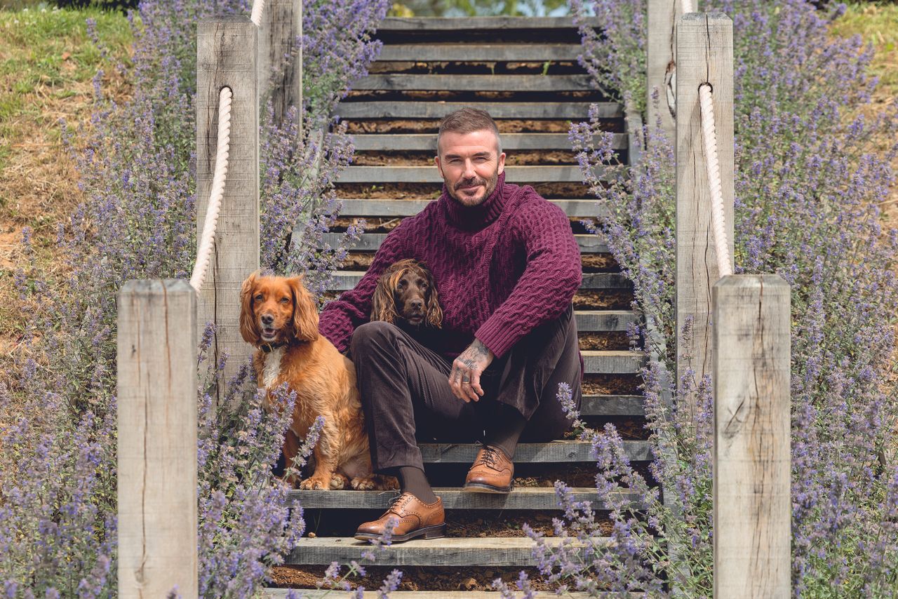 David Beckham is pictured enjoying the countryside with his two Cocker spaniels &mdash; one golden, one brown &mdash; in a series of relaxed outdoor scenes. He&rsquo;s seen sitting on the back of a green Land Rover surrounded by wildflowers, sharing an affectionate moment with one of his dogs, walking them across the lawn beside a white picket fence and glasshouse, and sitting by the water&rsquo;s edge on a wooden bridge bordered by reeds and lavender. In another image, he sits on garden steps lined with purple blooms, his spaniels at his side, perfectly capturing the easy charm of country life.