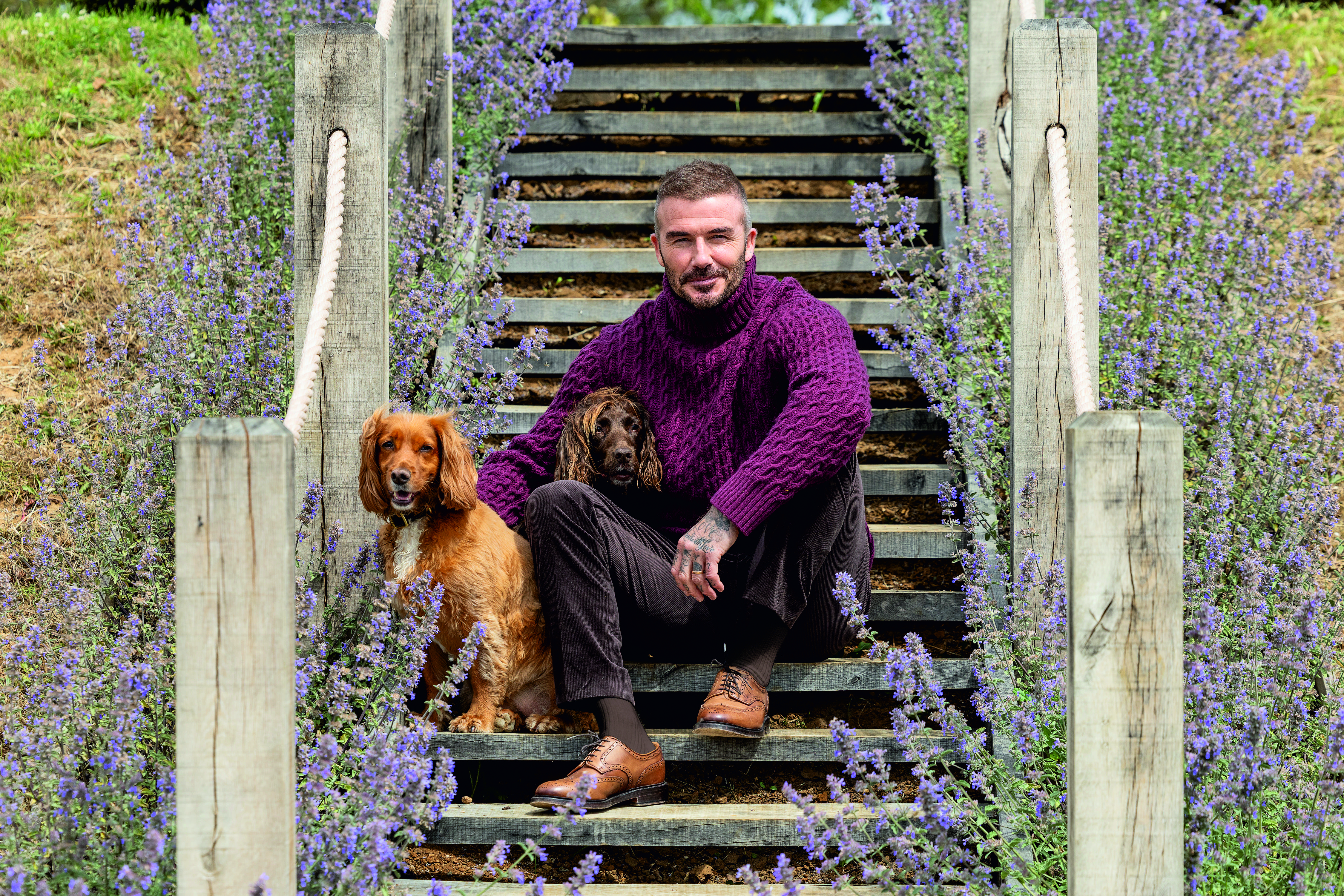 David Beckham is pictured enjoying the countryside with his two Cocker spaniels — one golden, one brown — in a series of relaxed outdoor scenes. He’s seen sitting on the back of a green Land Rover surrounded by wildflowers, sharing an affectionate moment with one of his dogs, walking them across the lawn beside a white picket fence and glasshouse, and sitting by the water’s edge on a wooden bridge bordered by reeds and lavender. In another image, he sits on garden steps lined with purple blooms, his spaniels at his side, perfectly capturing the easy charm of country life.