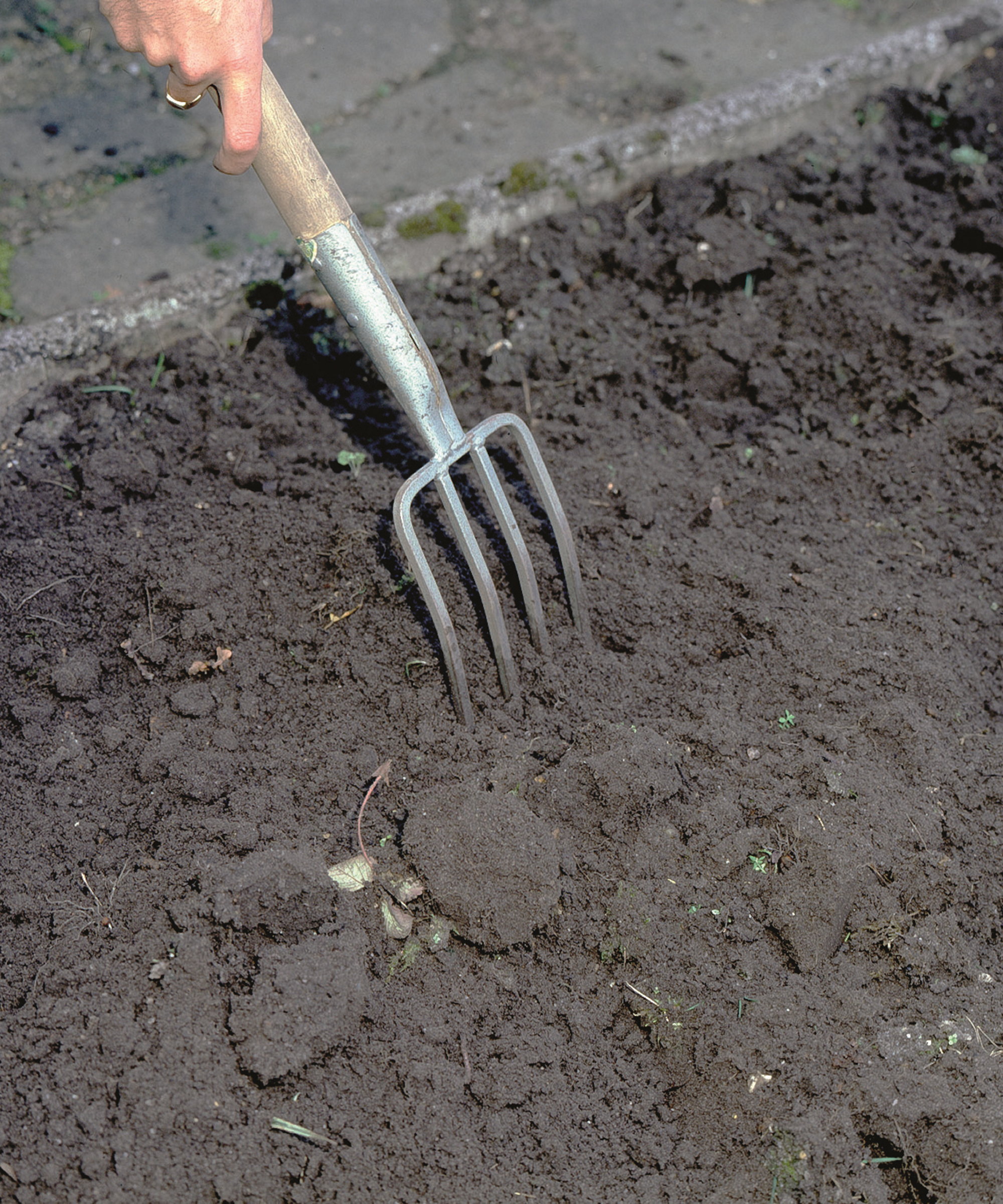 Turning soil with a garden fork