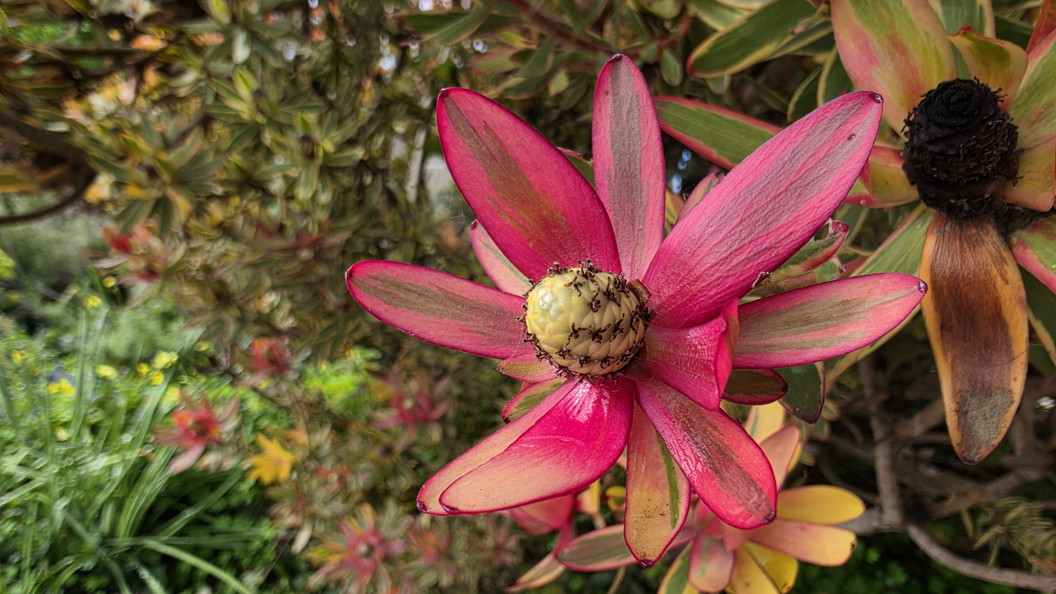 Samsung Galaxy S26 Ultra review