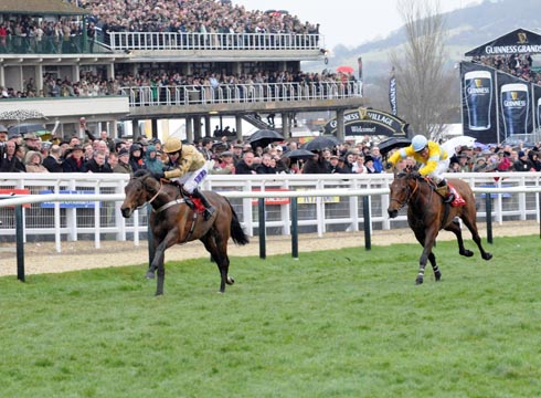 Cheltenham World Hurdle