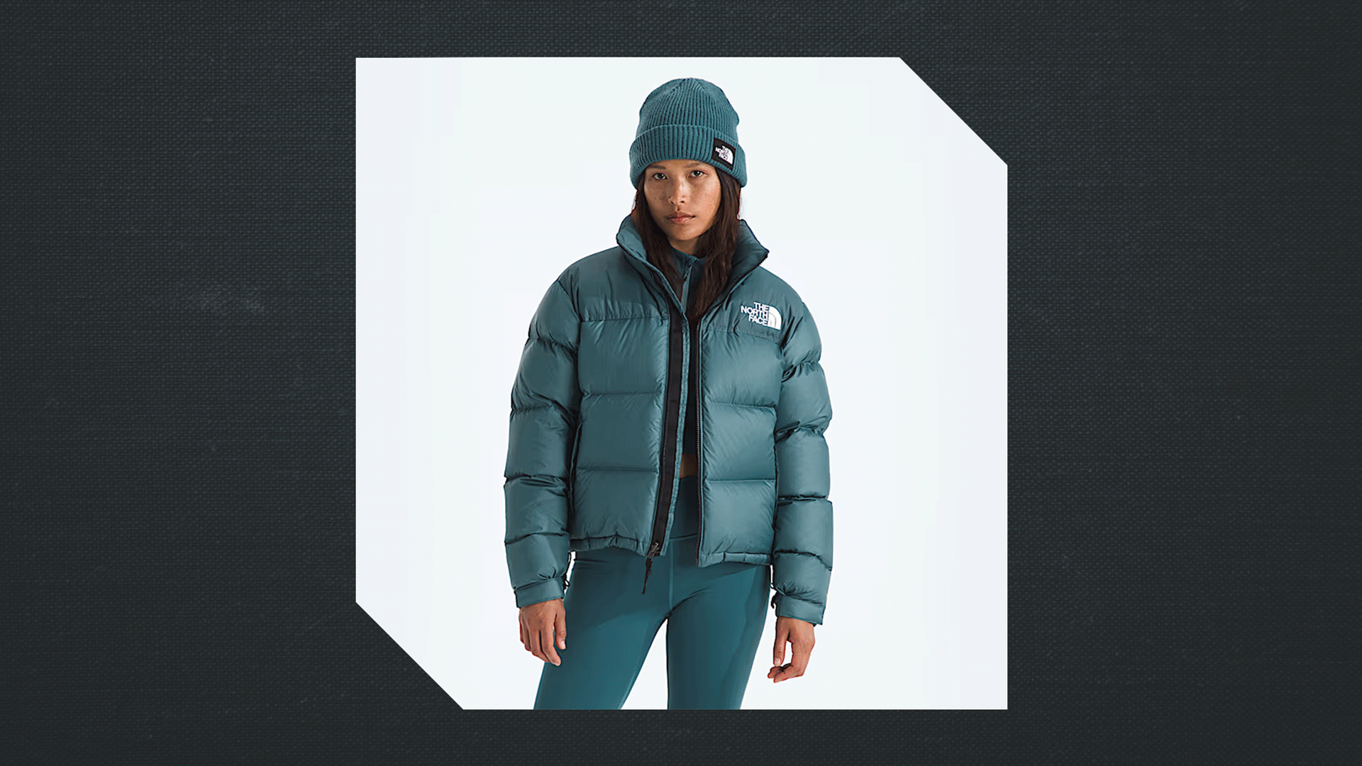 Gif of Images of Winter Jackets From The North Face