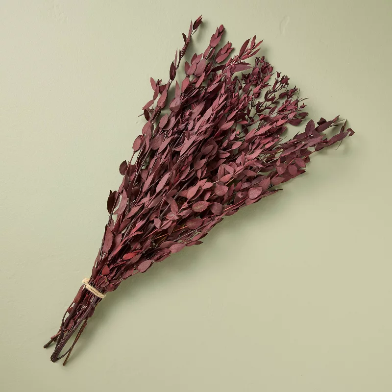 25" Preserved Eucalyptus Fall Bundle - Hearth & Hand™ With Magnolia