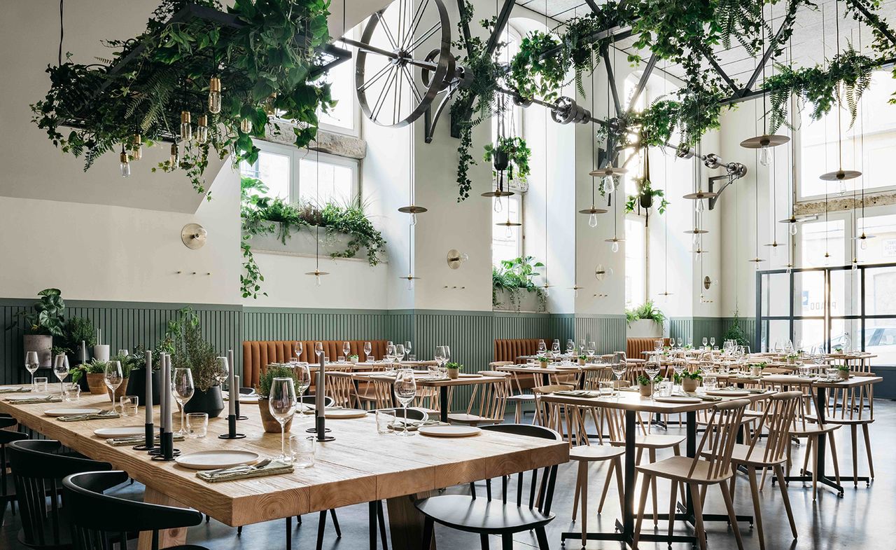 Interior of the Prado Restaurant. High ceilings are painted in muted mint green and white, with plants hanging from metal railings that are attached to the ceiling. Wooden tables and chairs and set throughout the area.