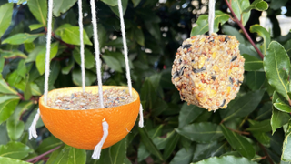 Bird feeder ornaments DIY