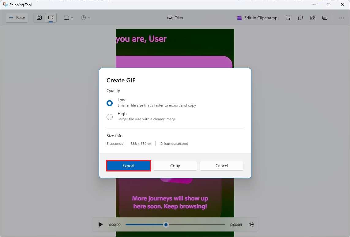 Snipping Tool export GIF file