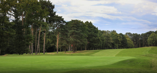 West Byfleet Golf Club general image of 12th hole