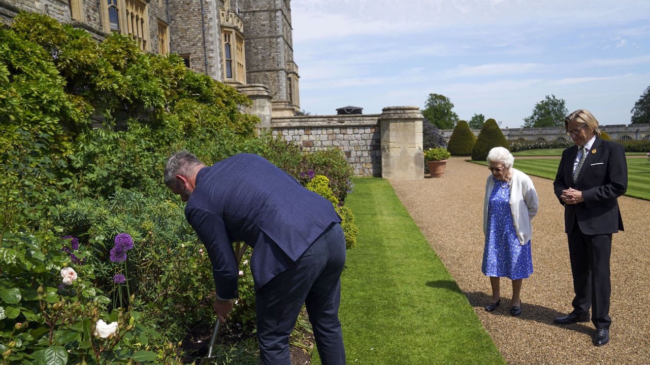 britains queen elizabeth ii c watches as a duke of edinburgh rose, given to her by president of the royal horticultural society, keith weed r, and named in memory of her late husband prince philip, the duke of edinburgh, is planted in a flower bed at windsor castle in windsor, west of london, on june 2, 2021 the newly bred deep pink commemorative rose from harkness roses has officially been named in memory of the duke of edinburgh a royalty from the sale of each rose will go to the duke of edinburghs award living legacy fund which will give more young people the opportunity to take part in the duke of edinburgh award photo by steve parsons pool afp photo by steve parsonspoolafp via getty images