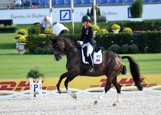Valegro