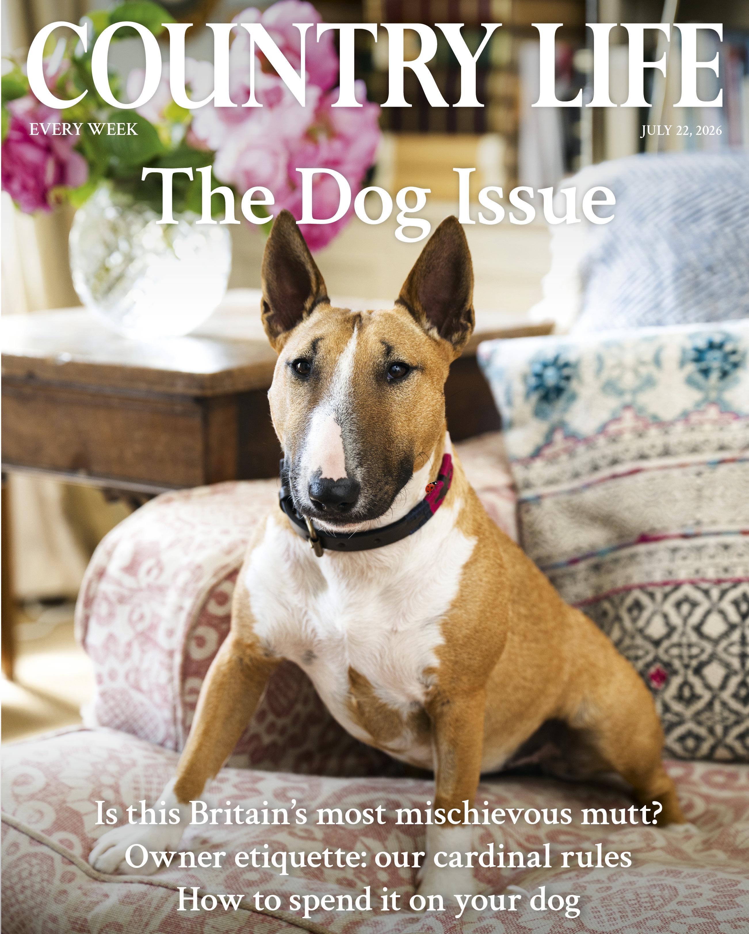 The cover of Country Life July 22, 2026