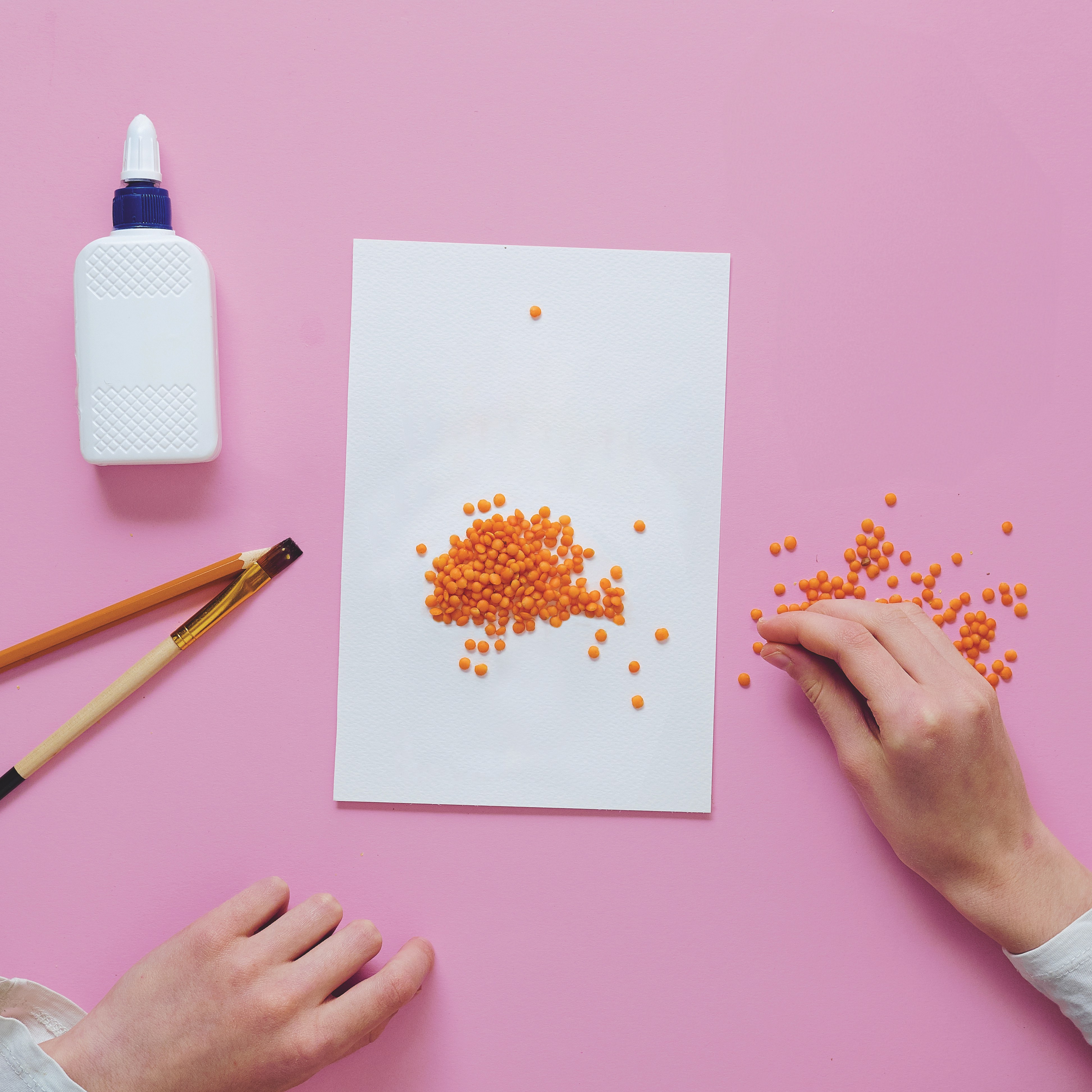 Hands putting lentils on a piece of paper