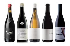 top Spanish winemakers