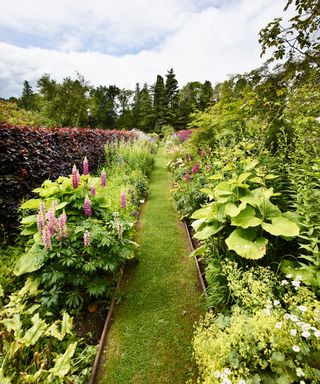 A sloping garden with large flower beds on either side of a grass pathway