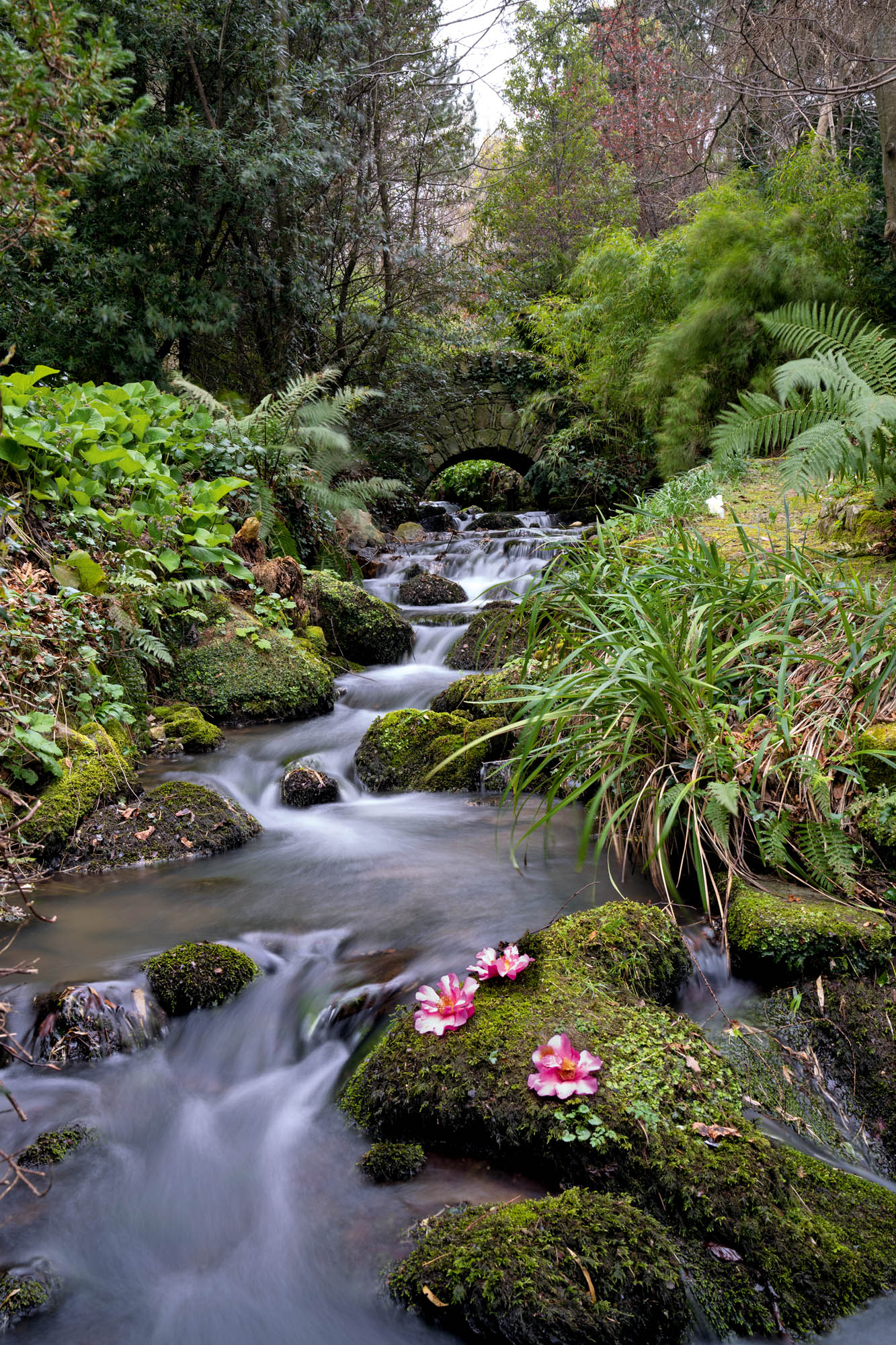 The Little Dargle (a tributary of the Dodder) earned its name because its pretty glen was like a miniature version of the River Dargle’s glen at Powerscourt. The garden at Danesmoate, near Dublin — the home of Mr Adam Clayton. ©Jonathan Hession