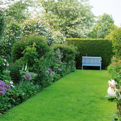 Garden with narrow lawn surrounded by hedges, trees and flower bed 