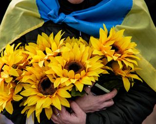 sunflowers held by woman wrapped in Ukraine flag