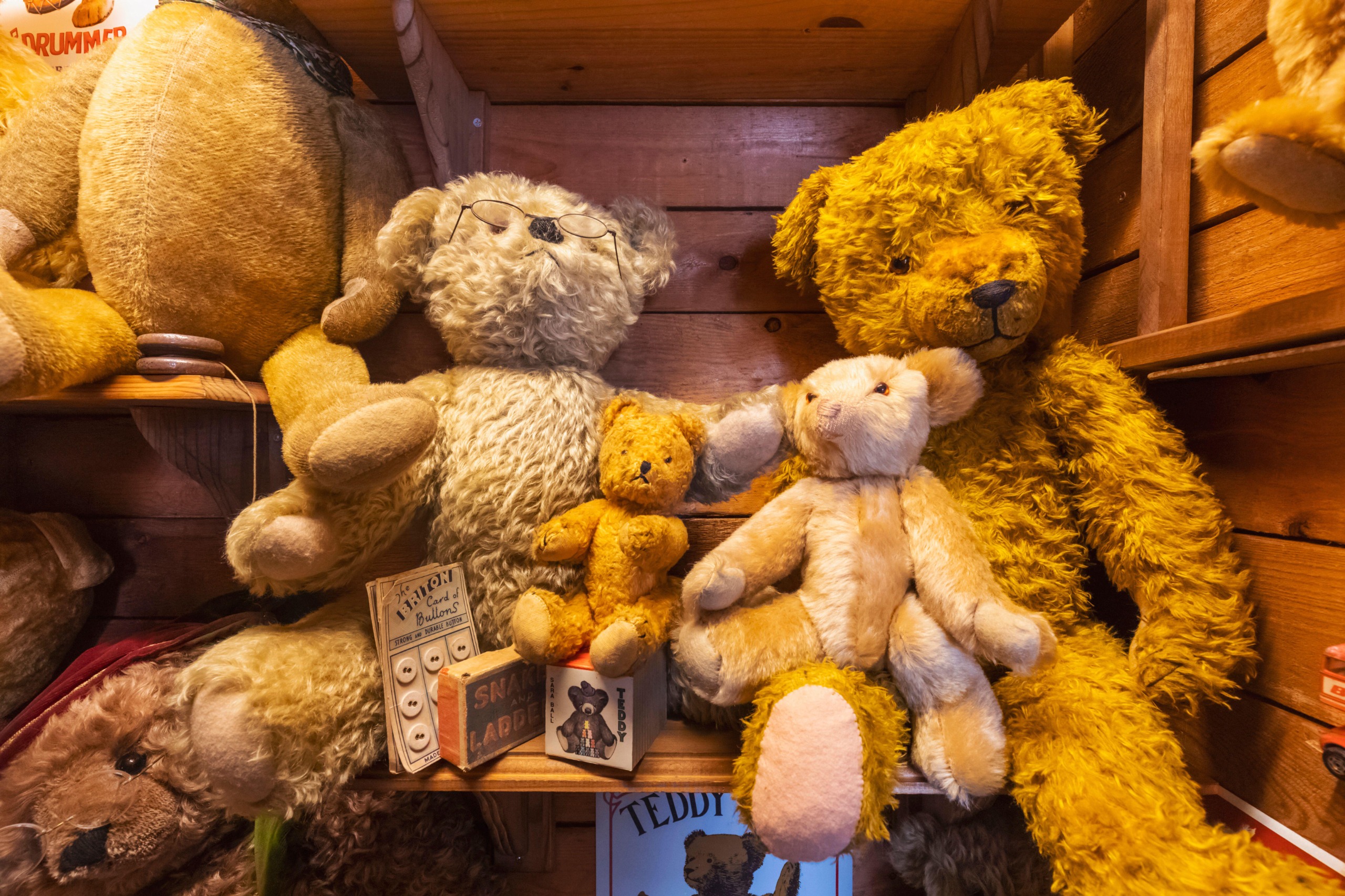Various teddy bears on a shelf