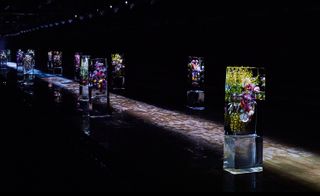 A medley otherworldly botanical sculptures encased within blocks of ice lined either side of Dries van Noten’s black runway in Paris