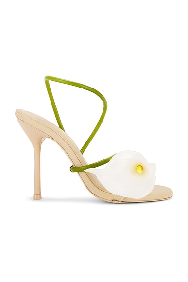 Cassidy Sandal