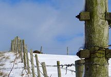 snow2006_3.jpg