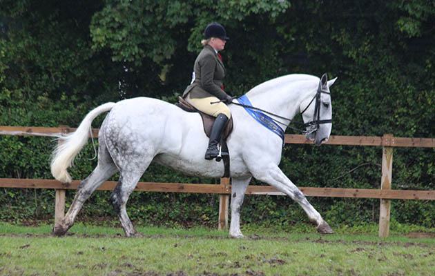 maxi cob champion Petra Frampton &amp;amp; The Forger IMG_2384