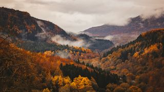 Autumnal landscape photography