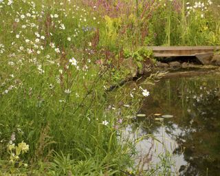 garden pond surrounded by wildflower meadow