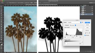Screenshot of the levels feature being used to cut out trees in Photoshop